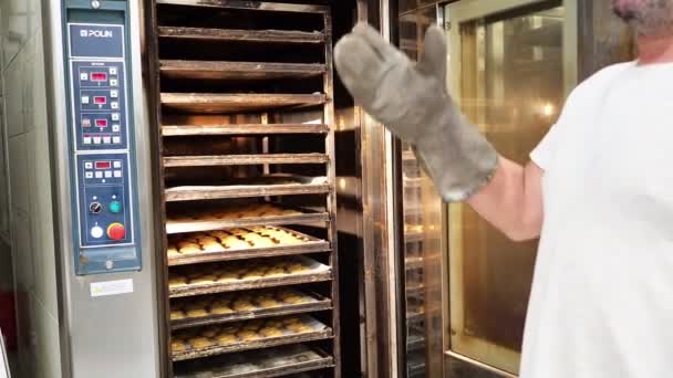Ομάδα Κέικ Panettone Ψήσιμο Στο Pro Φούρνο Στο Αρτοποιείο — Αρχείο Βίντεο
