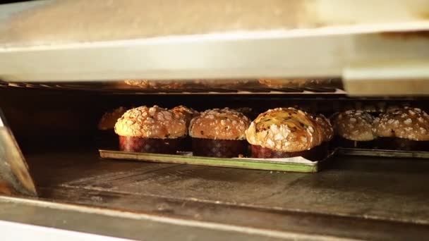Groep Panettone Cakes Bakken Pro Oven Bij Bakker — Stockvideo