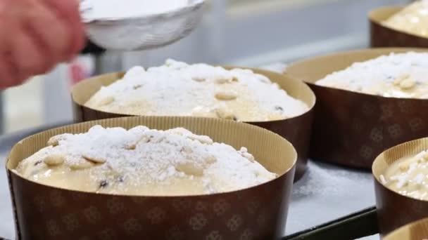 Pasticcere Topping Panetone Pane Dolce Italiano — Video Stock
