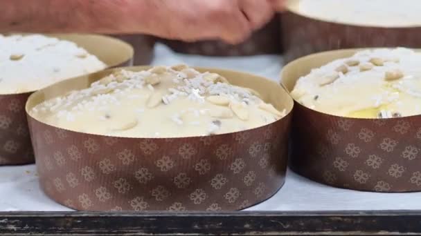 Wienerbrød Kok Topping Panetone Italiensk Sødt Brød – Stock-video