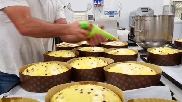 焼き詰めのパイプ袋を使ってケーキのグループを飾る職人 — ストック動画