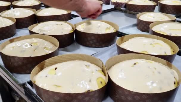 Diseñador Chef Artesanal Terminando Montón Pastel Panettone Con Glaseado Dulce — Vídeos de Stock
