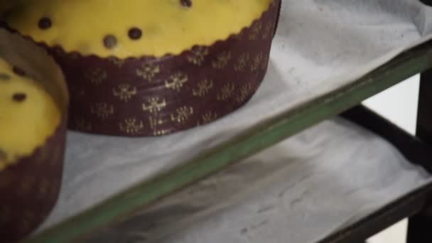 Groep Van Ongebakken Ongebakken Panettone Zoete Milanese Italiaanse Chrstmas Cake — Stockvideo