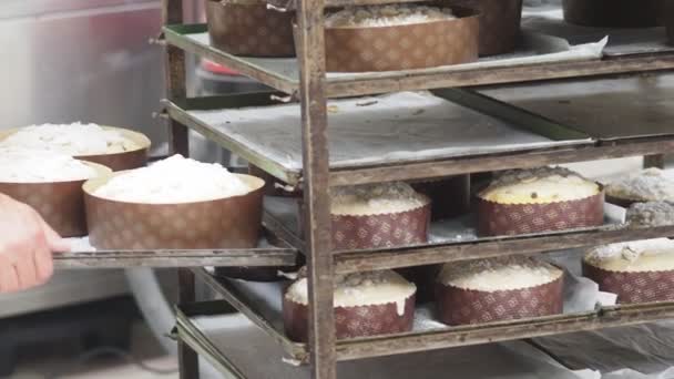 焼き立てパントーン甘いミラノのイタリアのクリスマスケーキのグループ — ストック動画