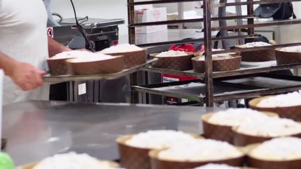 Gruppe Von Ungekochten Ungebackenen Panettone Süßen Milanesischen Italienischen Weihnachtskuchen — Stockvideo