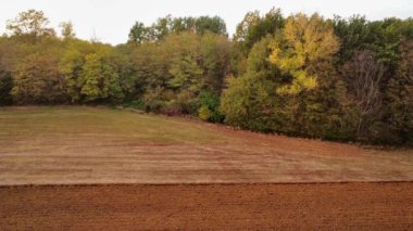 Cortina, İtalya - Kasım 2022 Sonbaharda ormanın yakınında tarlayı süren mavi bir traktör