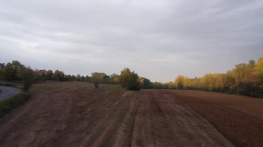 Cortina, İtalya - Kasım 2022 Sonbaharda ormanın yakınında tarlayı süren mavi bir traktör