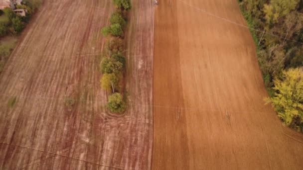 イタリアのコルティナ 11月2022森林の近くの秋に土地を耕す青いトラクター — ストック動画