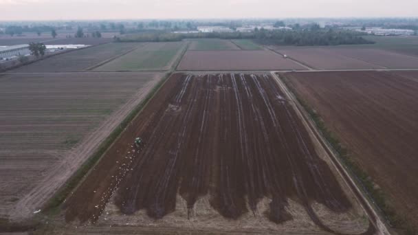 Dron Kręci Wideo Krajobraz Rolnika Orającego Pole Ścieków Gnojowicy — Wideo stockowe