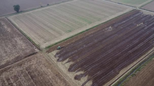 Drone Dispara Vídeo Paisagem Agricultor Arar Campo Esgoto Chorume — Vídeo de Stock