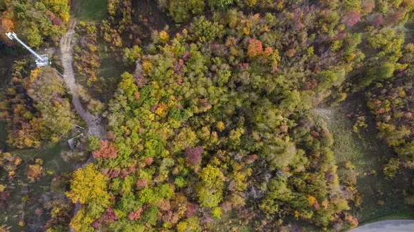 意大利Vezzolacca秋天彩色林木林的风景无人机航景 — 图库照片