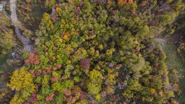 ヴェゾラッカイタリアの秋色のトレスの森の風光明媚なドローンの空中ビュー — ストック写真