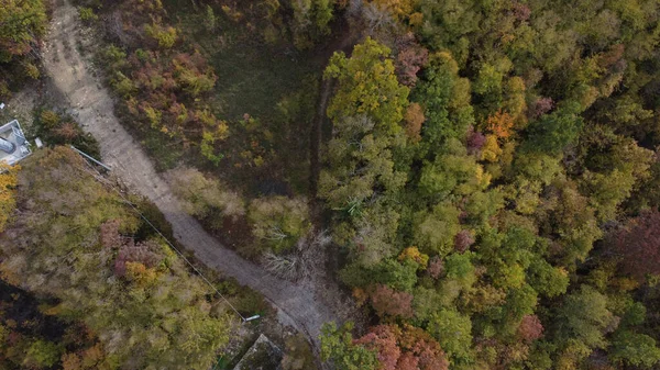 Pittoresque Drone Vue Aérienne Forêt Forteresse Colorée Automne Vezzolacca Italie — Photo