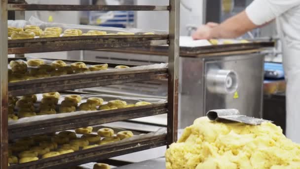 パン屋でショートクラストの甘いクッキーを作る菓子職人 — ストック動画