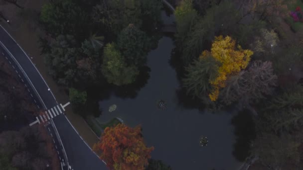Salsomaggiore Terme Stad Oanorama Drone Uitzicht Een Herfst Ochtend — Stockvideo