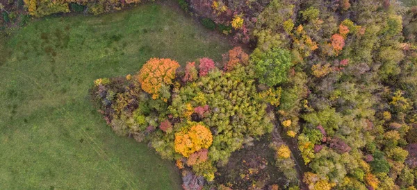 Panorâmico Drone Vista Aérea Floresta Colorida Outono Vezzolacca Itália — Fotografia de Stock