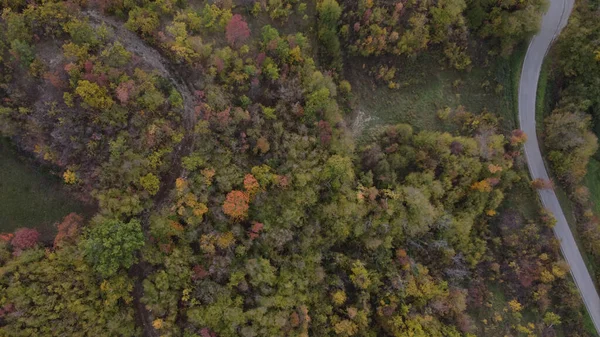 Живописный Вид Воздуха Осенний Цветной Лес Веццолакке Италия — стоковое фото