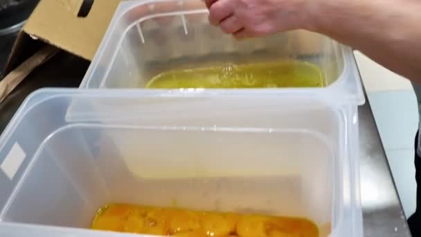 Osoba Pękanie Oddzielające Żółtko Jaj Białego Przygotowania Kuchni Przemysłowej — Wideo stockowe