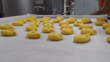 Pasta işçisi fırında kısa hamurlu tatlı kurabiyeler hazırlıyor.