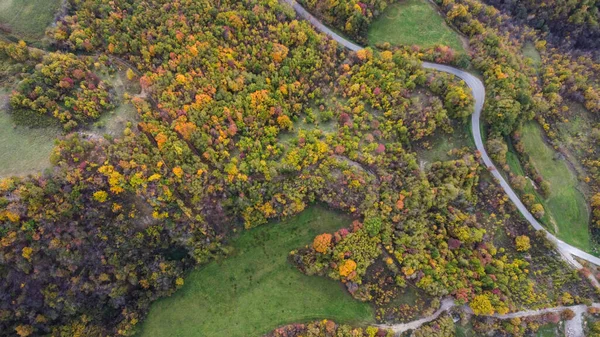 Malowniczy Widok Lotu Ptaka Jesienny Las Vezzolacca Włochy — Zdjęcie stockowe