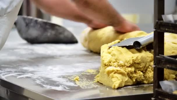 빵집에서 단것으로 쿠키를 준비하는 제빵사 — 비디오