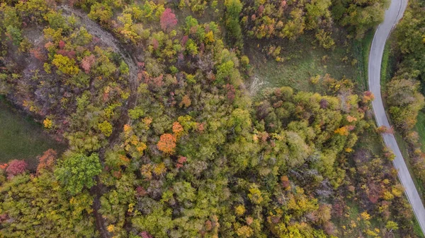 Vista Aérea Del Dron Escénico Del Bosque Otoño Vezzolacca Italia —  Fotos de Stock