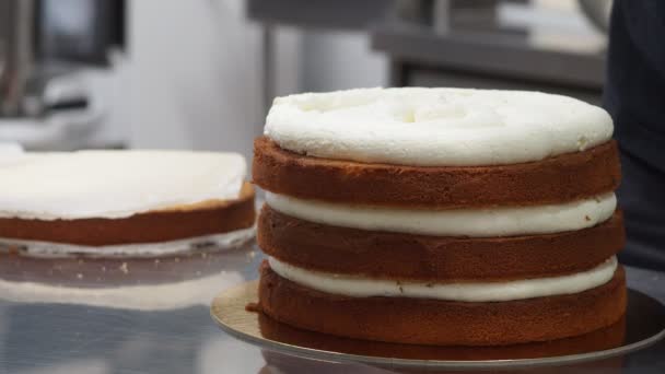 Şef Yerinde Damlatan Bir Pasta Hazırlıyor — Stok video