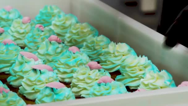 Pastelero Preparación Manojo Verde Turquesa Mar Tema Espolvoreado Cupcakes Esmerilados — Vídeos de Stock