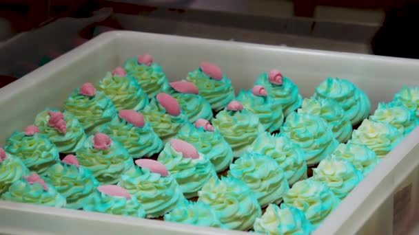 糕点厨师准备一系列绿色绿松石海主题撒满了糖霜的纸杯蛋糕 — 图库视频影像