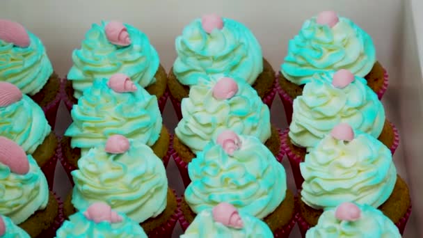 Cukrář Připravuje Svazek Zelených Tyrkysových Mořských Motivů Posypané Matné Cupcakes — Stock video
