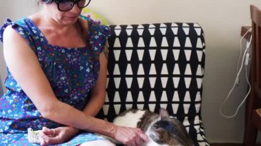 40 'lı yaşlarda Latin kökenli genç bir kadın evde oturmuş kedi besliyor ve evcil hayvan şirketinin 4K görüntülerini seyrediyor.