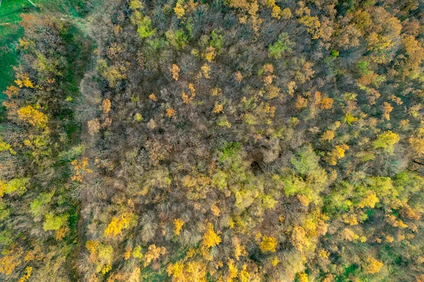 ヴェゾラッカピアチェンツァイタリアの秋の色のドレスの森の風光明媚なドローンの空の景色 — ストック写真