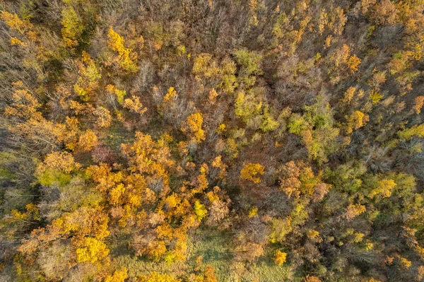 Vezzolacca Piacenza意大利秋天彩色森林风景无人驾驶飞机俯瞰 — 图库照片