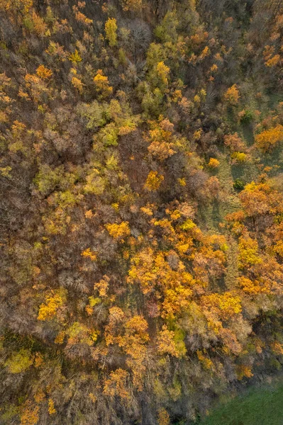 Vezzolacca Piacenza Itália Vista Aérea Cênica Drone Outono Colorido Floresta — Fotografia de Stock