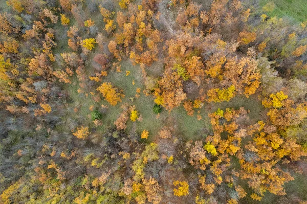 Vezzolacca Piacenza Włochy Malowniczy Dron Widok Lotu Ptaka Jesienny Kolorowy — Zdjęcie stockowe