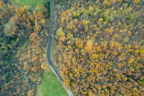 Vezzolacca Piacenza Italia Panoramica Drone Veduta Aerea Della Foresta Tress — Foto Stock