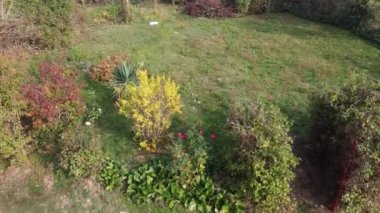 Sezon ortasında bahçede küçük bir kızın drone görüntüsü.