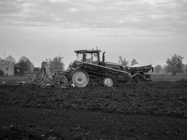 Sürünen traktör yumuşuyor ve sonbaharda siyah beyaz tohum ekiyor.