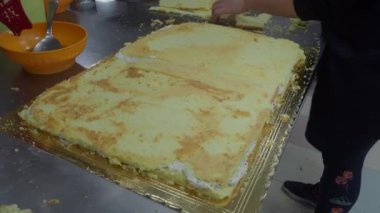 pastry chef woman decorating a large female pink birthday cake in industrial kitchen with piping bag filled with whipped cream 4k footage