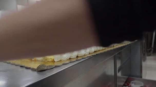 Pastelaria Chef Mulher Decorar Grande Bolo Aniversário Rosa Feminino Cozinha — Vídeo de Stock