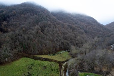 İtalya 'da Rocchetta di Morfasso yakınlarındaki sonbahar öncesi tepelerin insansız hava görüntüsü.