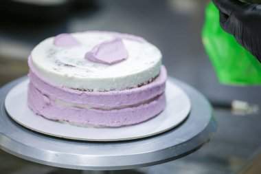 Pasta tasarımcısı, mutfak laboratuarında gül kremi dolgu poşeti, katmanlı siyah çikolatalı pasta kullanıyor.