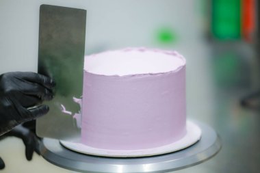 Pasta şefi spatula ve kazıyıcı kullanarak pürüzsüz katmanlı leylak kremalı pasta - düğün pastası hazırlığı