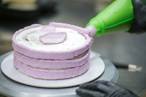cake chef designer using rose cream filling piping bag decorating layered dark chocolate cake at kitchen lab