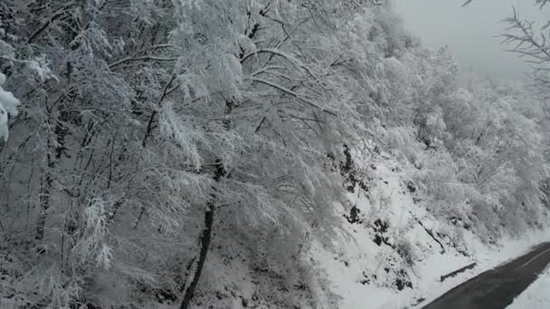 Aerial Shot Winter Landscape Italian Apennines Woods Hills Covered Snow — Vídeo de stock