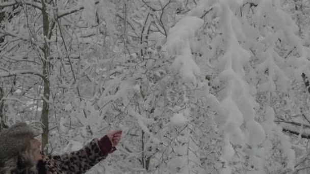 Кадри Білої Жінки Розважаються Взимку Прокручуючи Сніг Дерев Лісі — стокове відео