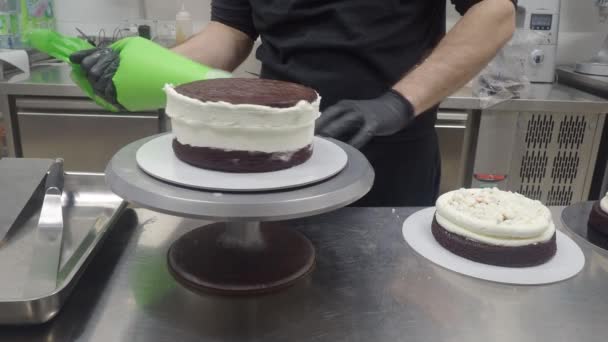 Pasta Tasarımcısı Çilek Yaban Mersini Çırpılmış Tereyağlı Kremayla Doldurulmuş Kremalı — Stok video