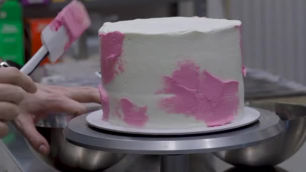 Chef Pastry Designer Confectioning Frosted Cilindrical Layered Cake Decorated Pinl — Stockvideo