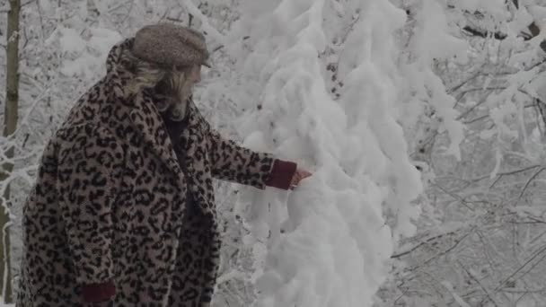 Imagens Mulher Caucasiana Divertindo Inverno Rolando Neve Das Árvores Uma — Vídeo de Stock