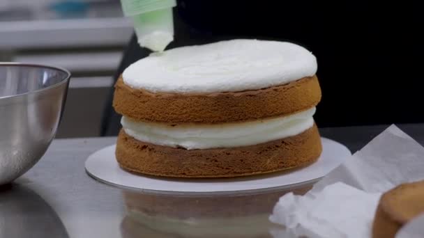 Pastry Sweet Baker Hand Frosting Cake Whipped Cream Bag Cream — Video Stock